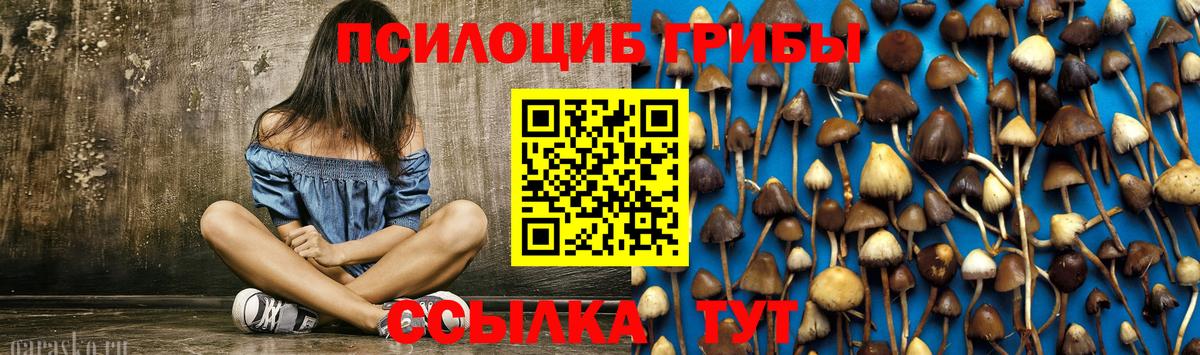 Галлюциногенные грибы MAGIC MUSHROOMS  Вход с VPN  Галлюциногенные грибы GOLDEN TEACHER  Канаш 