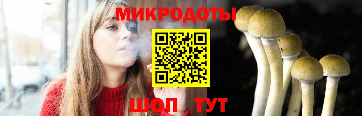 Галлюциногенные грибы Cubensis Канаш